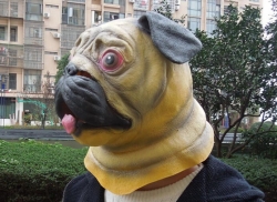 Pug dog Letex COS Mask bag pac...