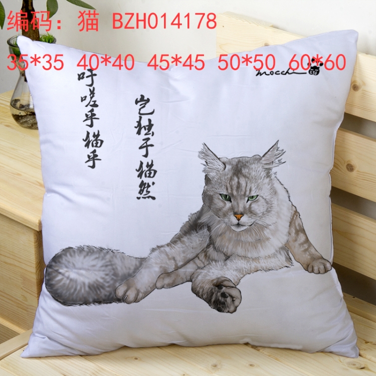 BZH014178 pillow cushion 50*50cm