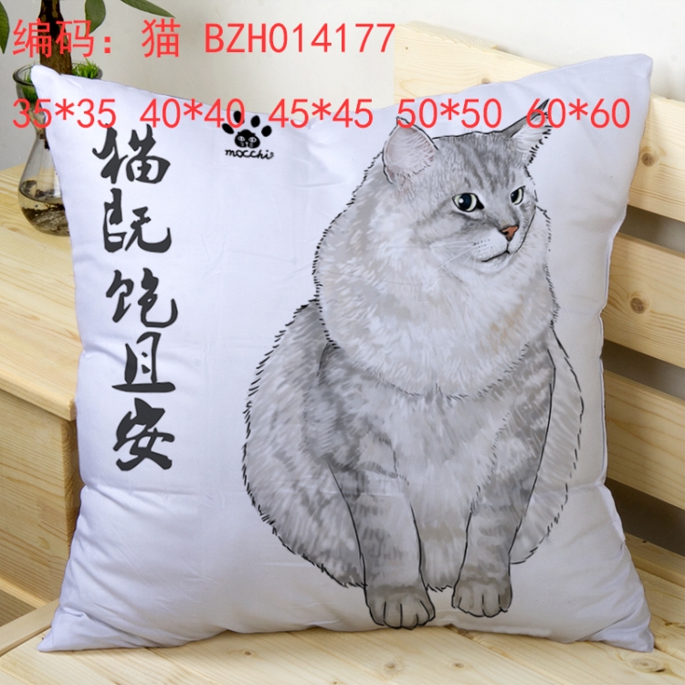 BZH014177 pillow cushion 50*50cm
