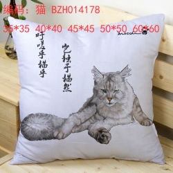 BZH014178 pillow cushion 50*50...