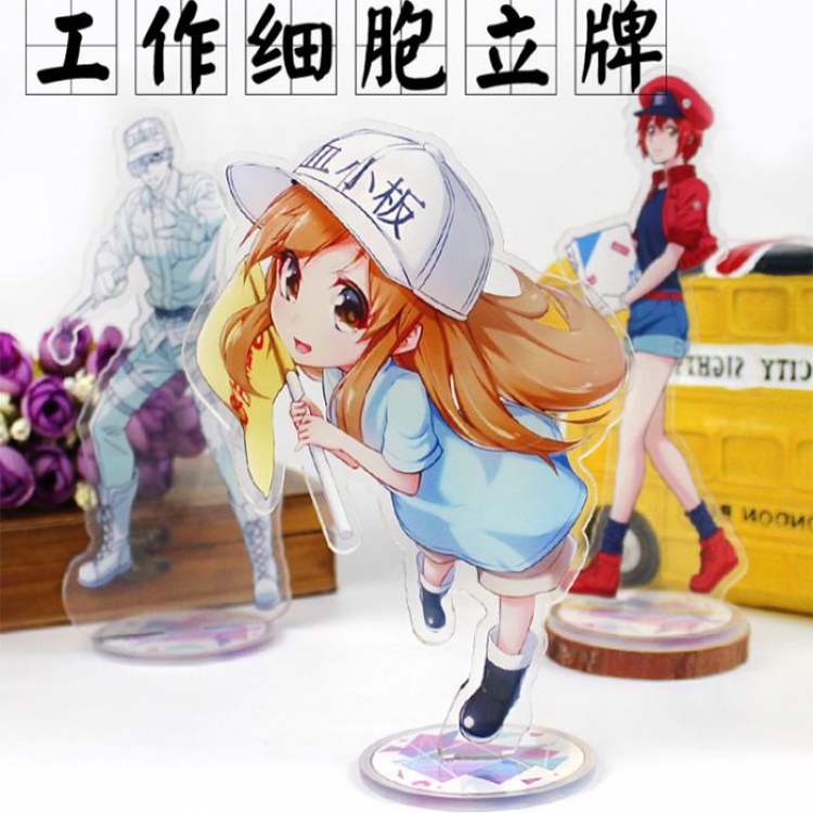 Working cell platelet Acrylic Anime around Humanoid brand a set of 3 High 16CM