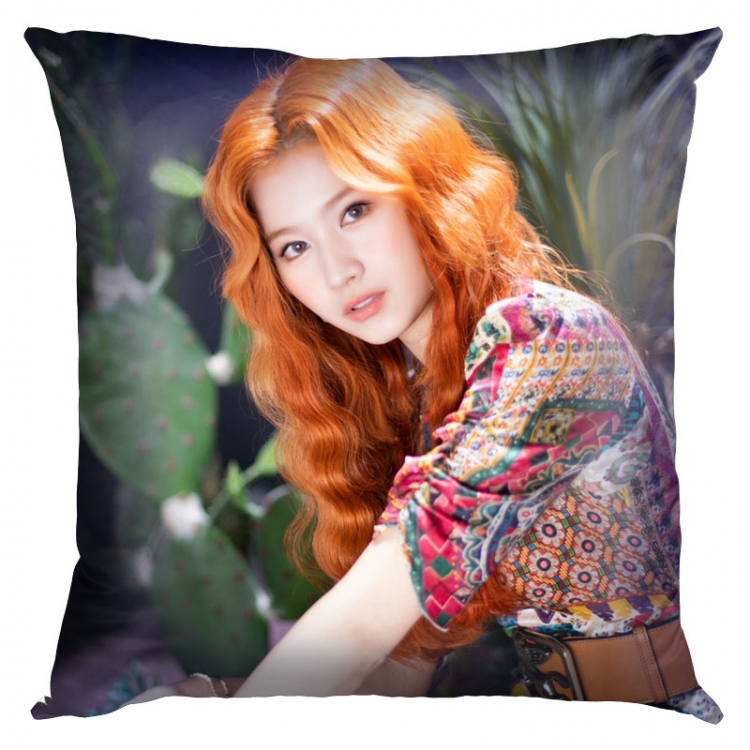 Twice World in A Day Double-sided full color pillow cushion 45X45CM TW-158 NO FILLING