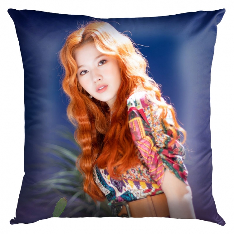 Twice World in A Day Double-sided full color pillow cushion 45X45CM TW-160 NO FILLING