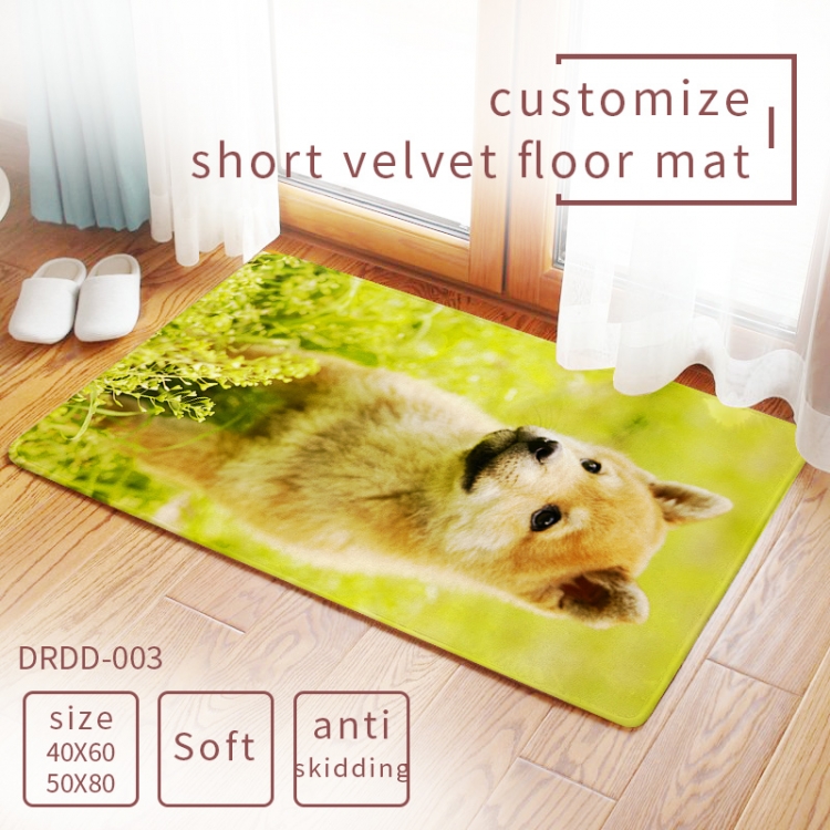 Carpet rug Mats Floor mat  50×80cm  DRDD003