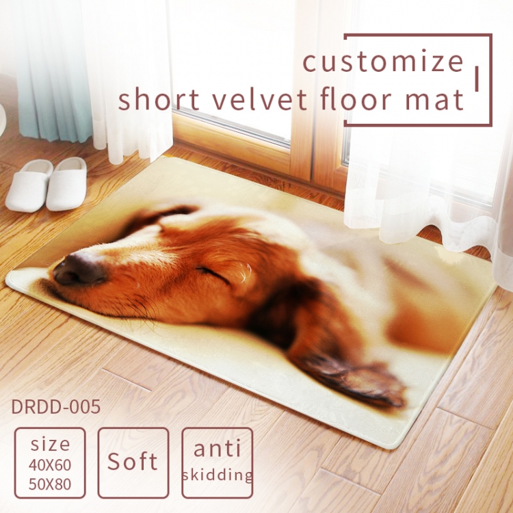 Carpet rug Mats Floor mat  50×80cm  DRDD005