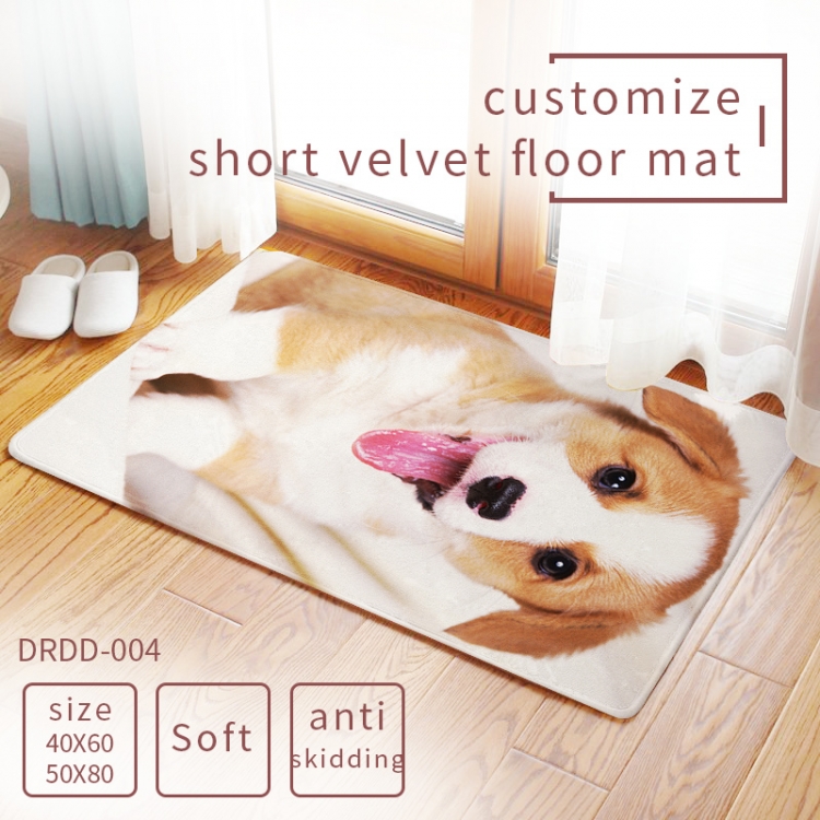 Carpet rug Mats Floor mat  50×80cm   DRDD004
