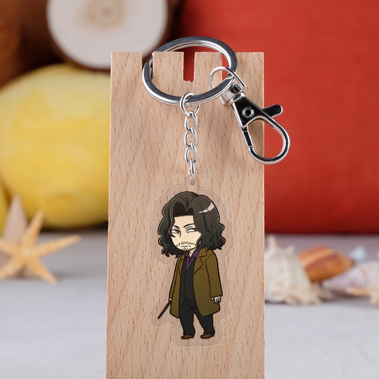Harry Potter Anime acrylic keychain price for 5 pcs 2518