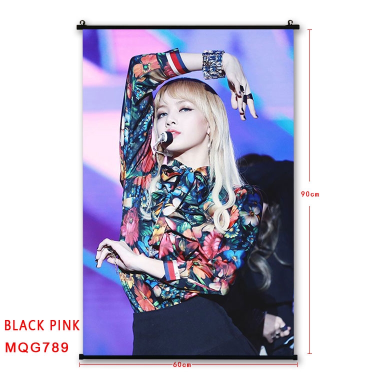 BLACK PINK BLACK plastic pole cloth painting Wall Scroll 60X90CM MQG789