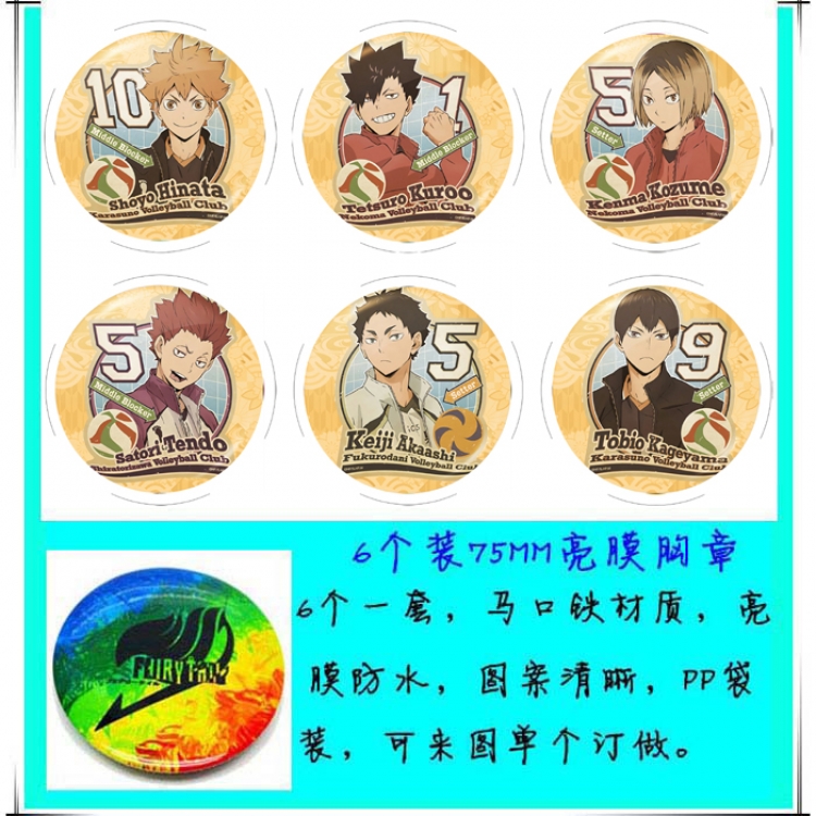 Haikyuu!! 6 Brooch Bedge 75cm price for a set of 6 pcs Style B