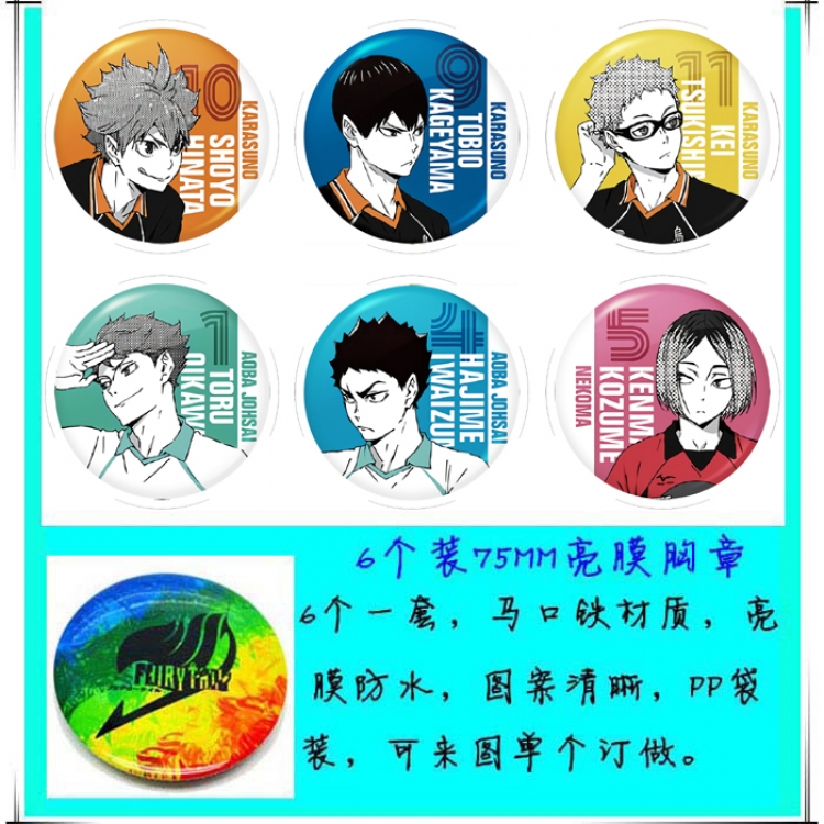 Haikyuu!! 6 Brooch Bedge 75cm price for a set of 6 pcs Style A