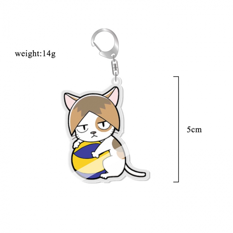 Haikyuu!! Anime acrylic Key Chain price for 5 pcs 7101