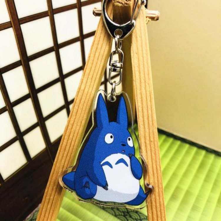  TOTORO Anime acrylic Key Chain price for 5 pcs 5493