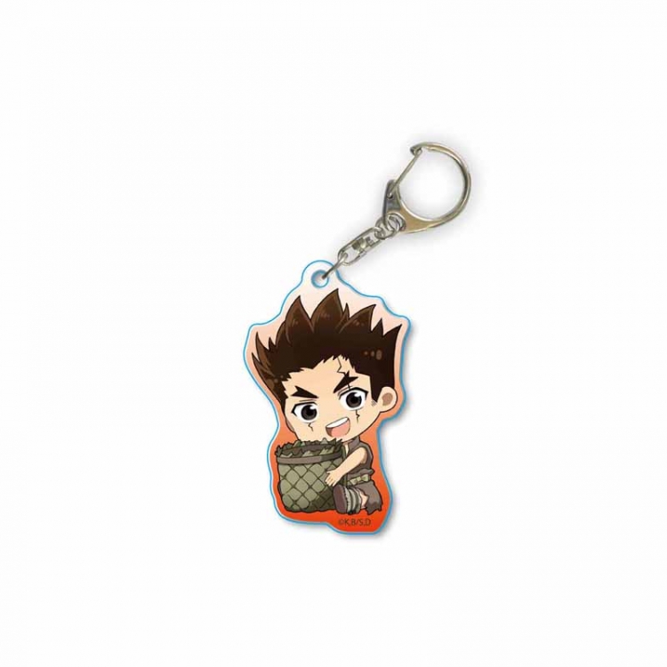 Dr.STONE Anime acrylic Key Chain price for 5 pcs 2148