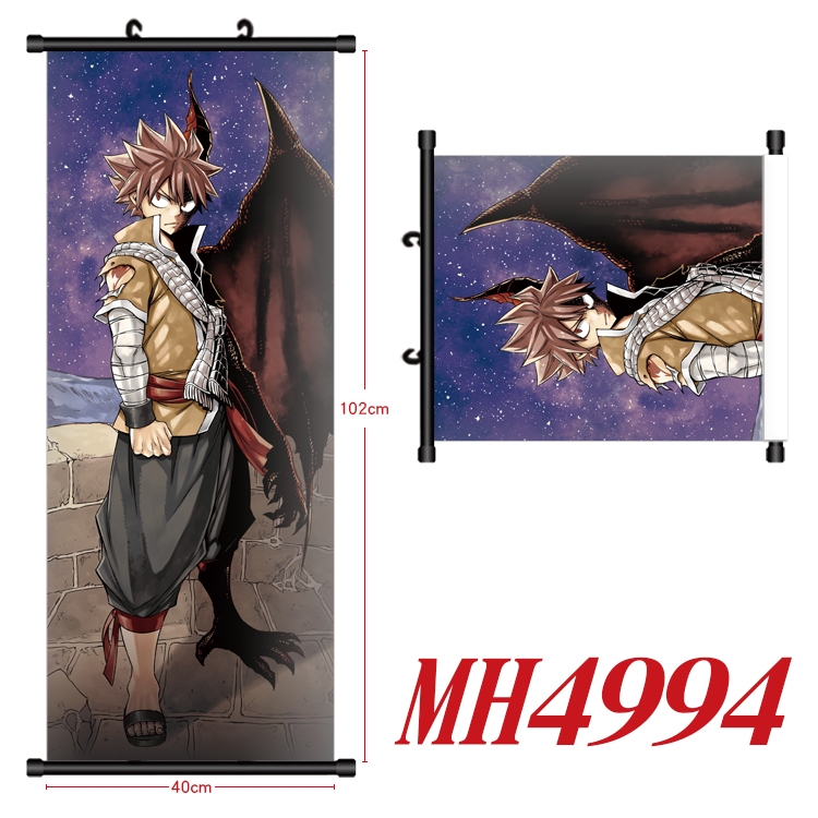 Fairy tail Anime black Plastic rod Cloth painting Wall Scroll 40X102CM  MH4994