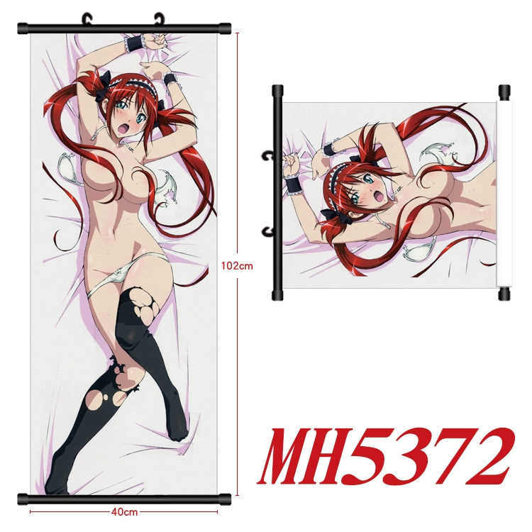 Queen's Blade Anime black Plastic rod Cloth painting Wall Scroll 40X102CM MH5372