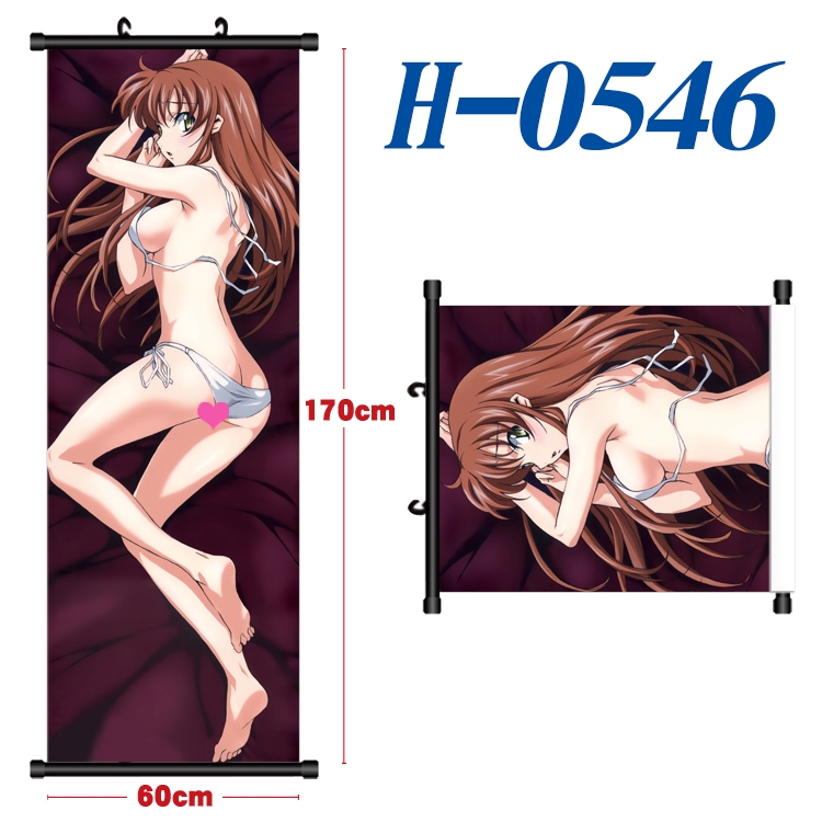 Code Geass Black plastic rod cloth hanging canvas painting 60x170cm H-0546