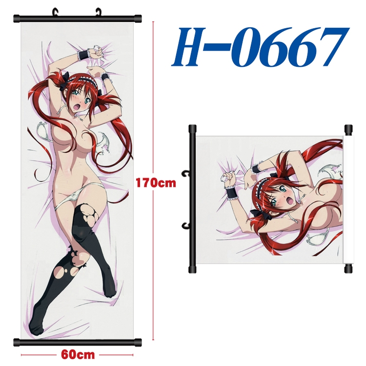 Queen's Blade Black plastic rod cloth hanging canvas painting 60x170cm H-0667