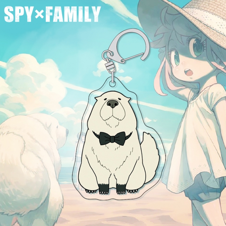 SPY×FAMILY acrylic pendant bag charm keychain price for 5 pcs