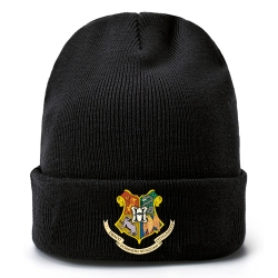 Harry Potter Anime knitted hat...