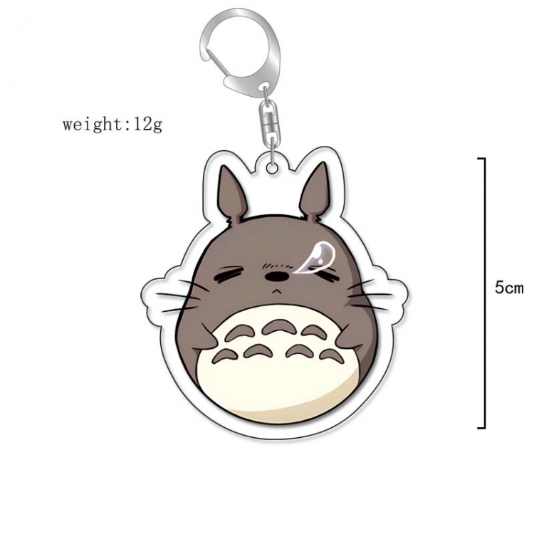 TOTORO Anime Acrylic Keychain Charm price for 5 pcs 13248