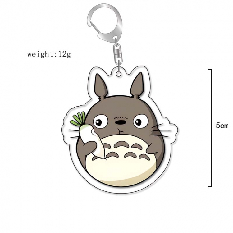 TOTORO Anime Acrylic Keychain Charm price for 5 pcs 13243