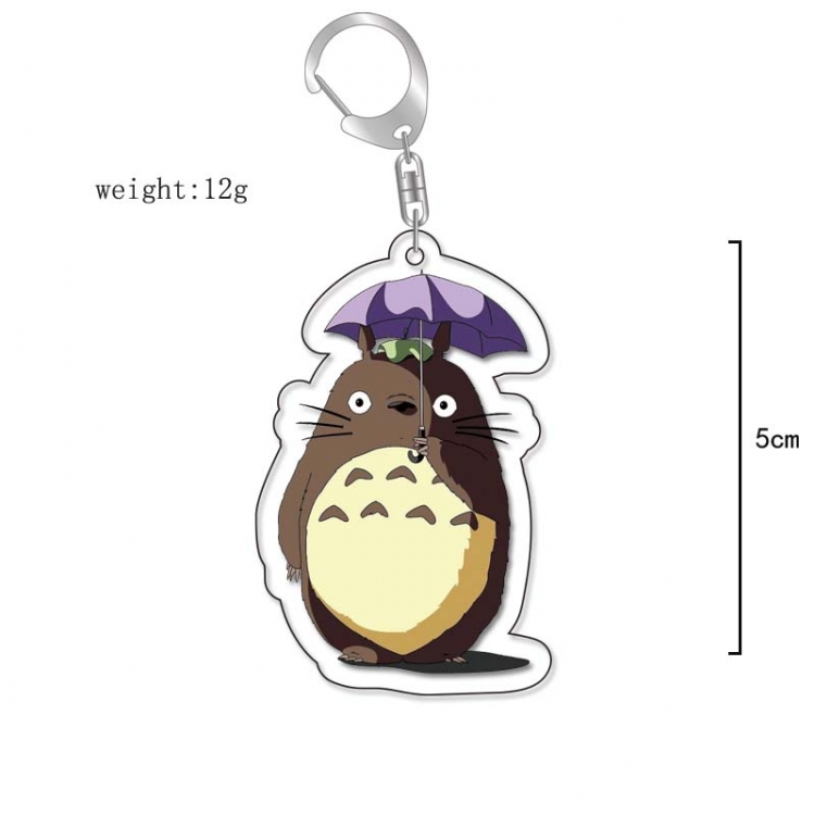 TOTORO Anime Acrylic Keychain Charm price for 5 pcs 13249