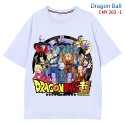 DRAGON BALL Anime Surrounding ...