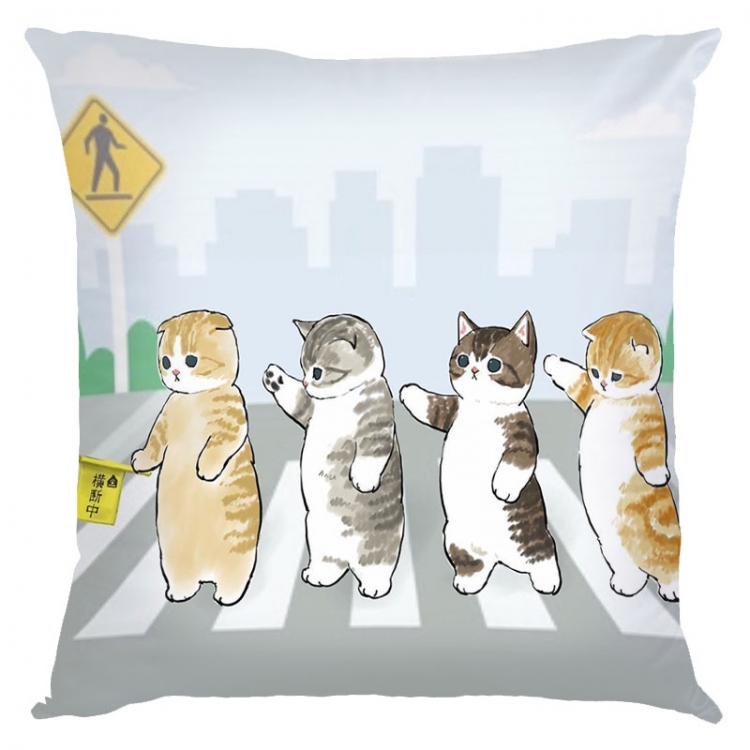 SharkCat Anime square full-color pillow cushion 45X45CM NO FILLING S4-42