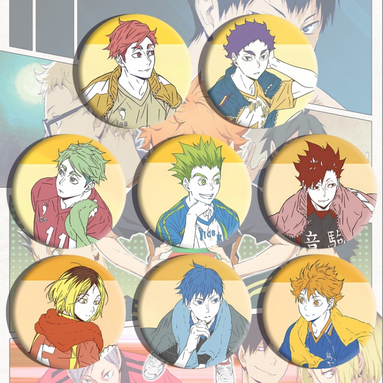 Haikyuu!! Anime tinplate brooch badge a set of 8