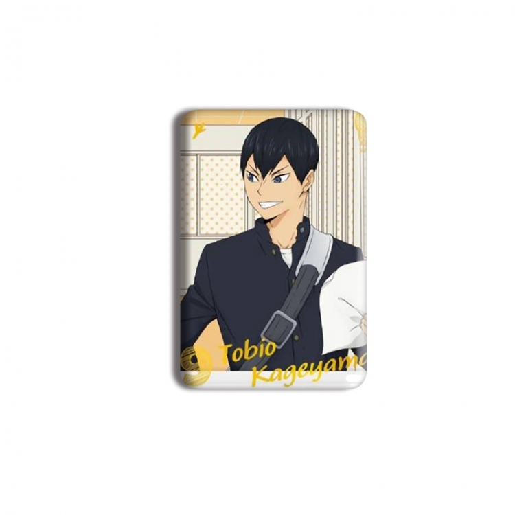 Haikyuu!! Anime square tinplate badge chest badge 40X60CM price for 5 pcs