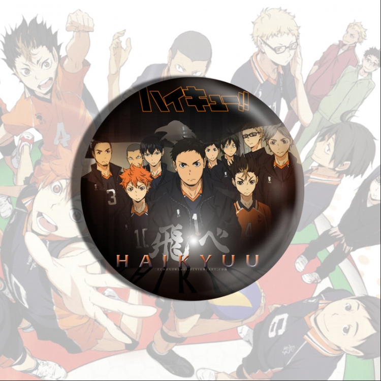 Haikyuu!! Anime tinplate brooch badge price for 5 pcs