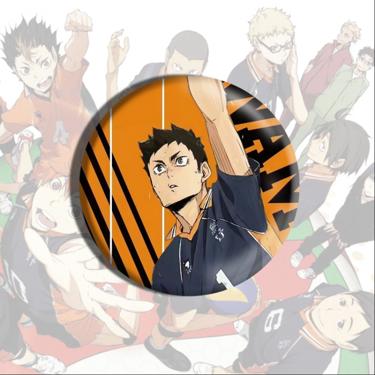 Haikyuu!! Anime tinplate brooch badge price for 5 pcs