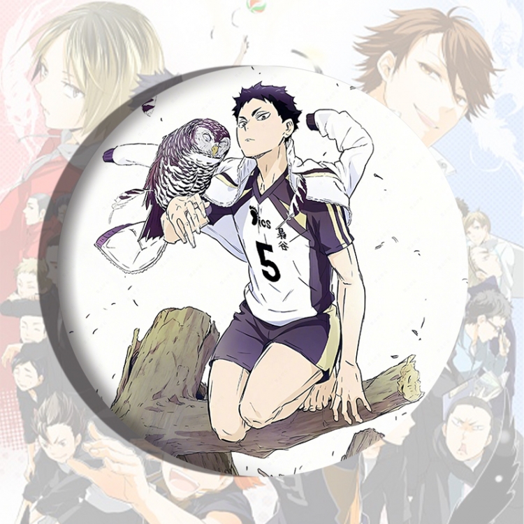 Haikyuu!! Anime tinplate brooch badge price for 5 pcs