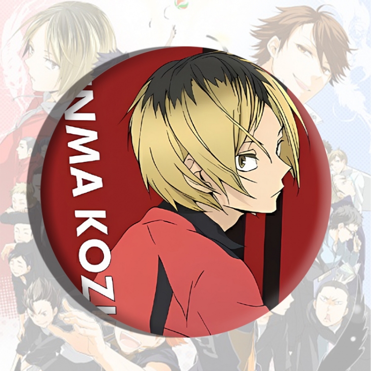 Haikyuu!! Anime tinplate brooch badge price for 5 pcs