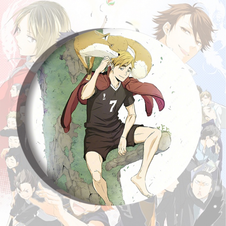 Haikyuu!! Anime tinplate brooch badge price for 5 pcs