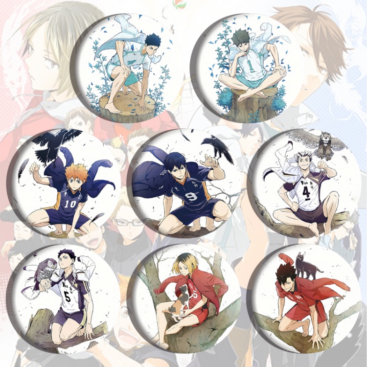 Haikyuu!! Anime tinplate brooch badge a set of 8