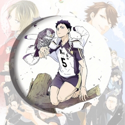 Haikyuu!! Anime tinplate brooc...