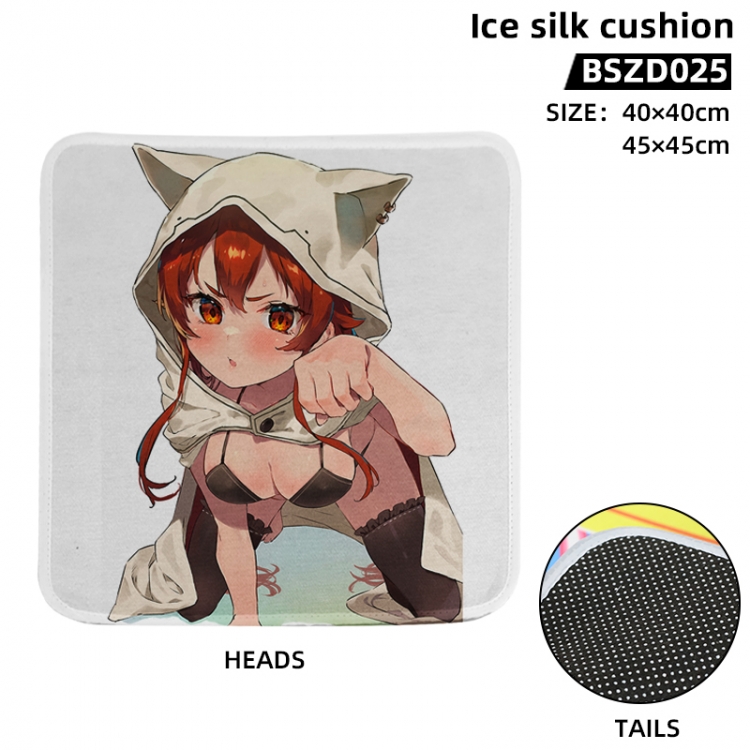 Jobless Reincarnat Anime Ice Silk Cushion 40X40CM  BSZD025