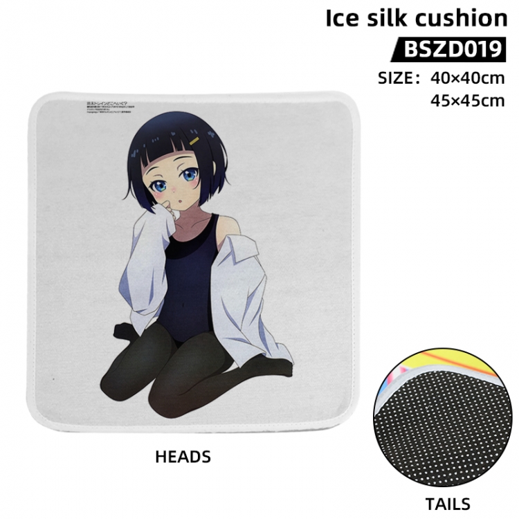 Where Does the Doomsday Train Go Anime Ice Silk Cushion 45X45CM BSZD019