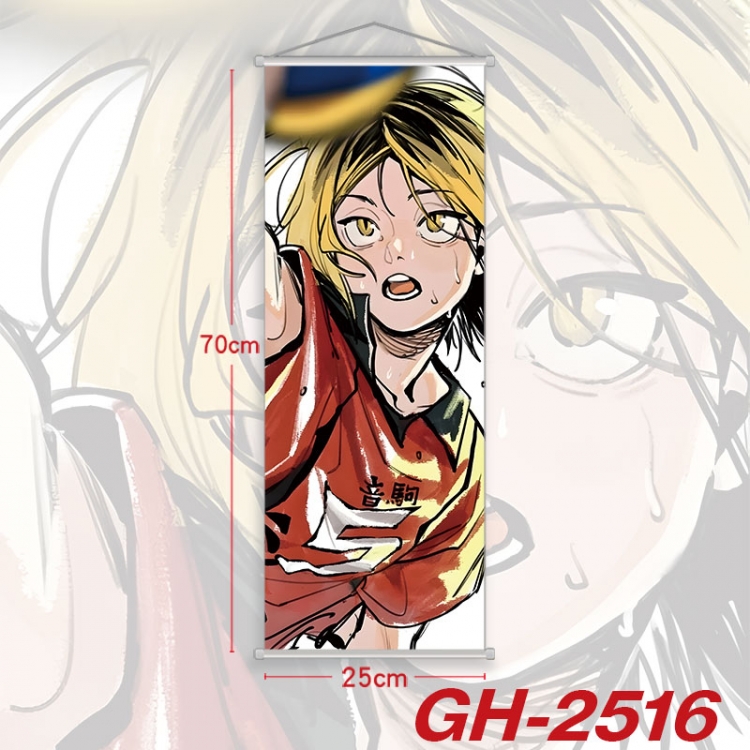 Haikyuu!! Plastic Rod Cloth Small Hanging Canvas Painting Wall Scroll 25x70cm price for 5 pcs gh-2516