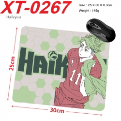 Haikyuu!! Anime peripheral new...