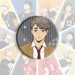 Haikyuu!! Anime tinplate brooc...