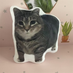 cat  Anime double-sided colorf...