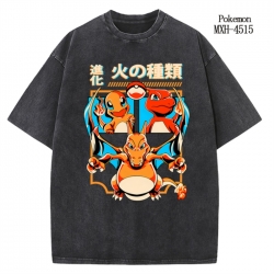 Pokemon Anime peripheral pure ...
