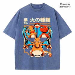 Pokemon Anime peripheral pure ...