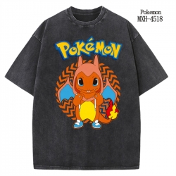 Pokemon Anime peripheral pure ...