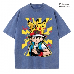 Pokemon Anime peripheral pure ...