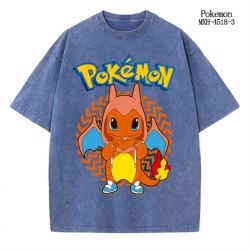 Pokemon Anime peripheral pure ...