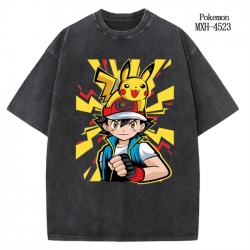 Pokemon Anime peripheral pure ...