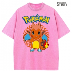 Pokemon Anime peripheral pure ...